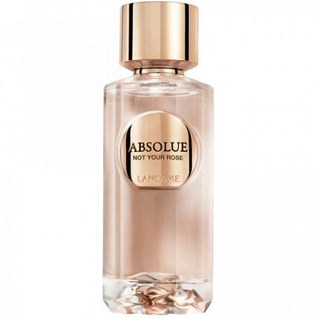 Absolue Not Your Rose
