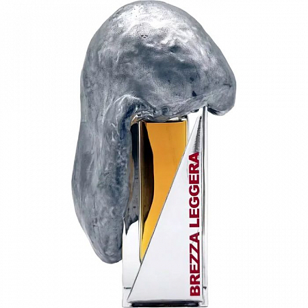 Nebbia Densa