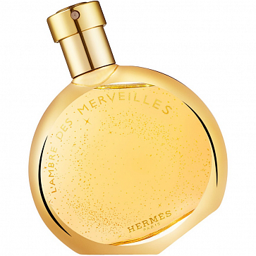 L’Ambre des Merveilles