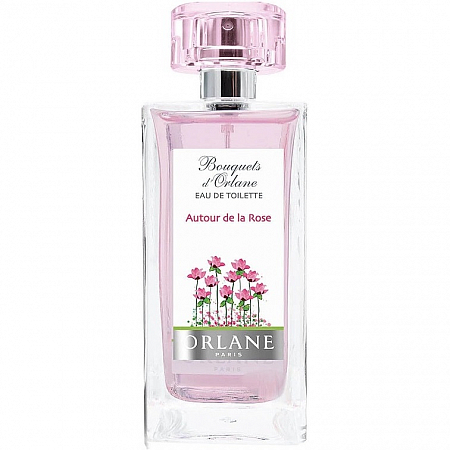 Autour de la Rose