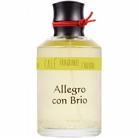 Allegro con Brio