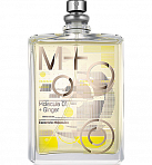 Molecule 01 + Ginger