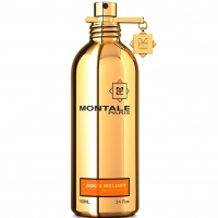 Aoud Melody Aoud Melody