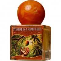 Standing in a Mango Field