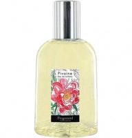 Pivoine