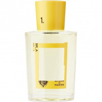 Colonia Limited Edition Yellow