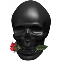 Ed Hardy Skulls & Roses for Him