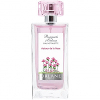 Autour de la Rose