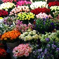 Аромат цветочного рынка