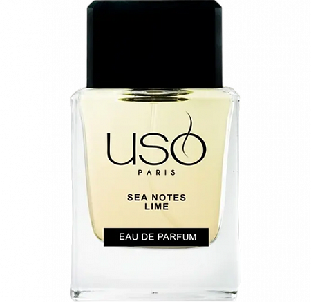Sea Notes Lime